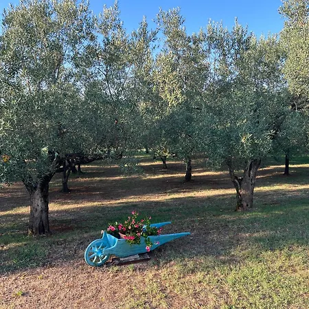 Monpaderno * Rovigno