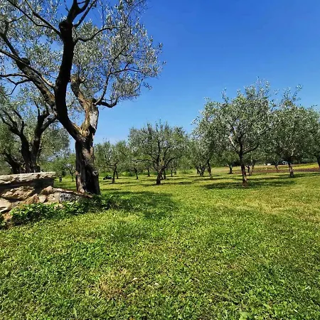 Appartamento Monpaderno Rovigno